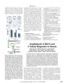 Amphiphysin 2 (Bin1) and T-Tubule Biogenesis in Muscle