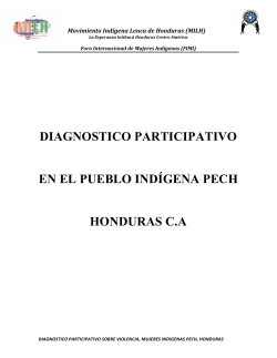 Descargar archivo - Foro Internacional de Mujeres Ind&iacute;genas
