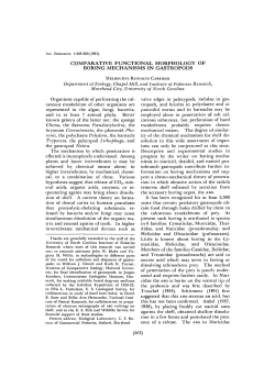 comparative functional morphology of boring