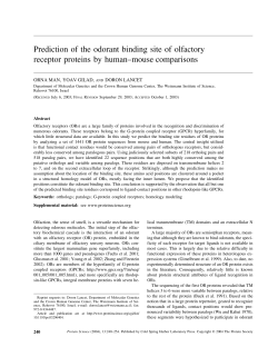 Prediction of the odorant binding site of olfactory receptor proteins