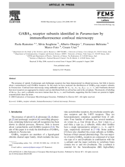 GABAA receptor subunits identified in Paramecium by