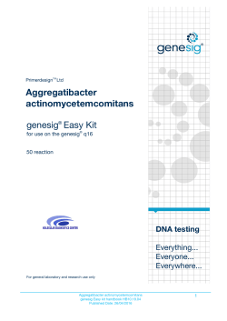 Aggregatibacter actinomycetemcomitans genesig Easy Kit
