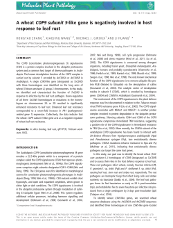 A wheat COP9 subunit 5‐like gene is negatively involved in host