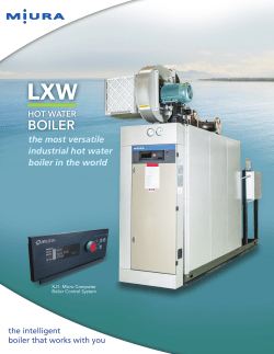 LXW Series On-Demand Hot Water Boilers