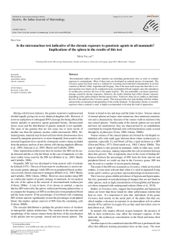 Is the micronucleus test indicative of the chronic exposure to