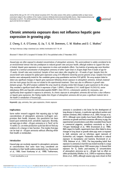 Chronic ammonia exposure does not influence hepatic gene