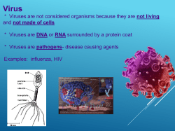 * Viruses are not considered organisms because they are not living