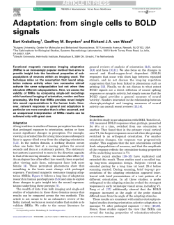 Adaptation: from single cells to BOLD signals