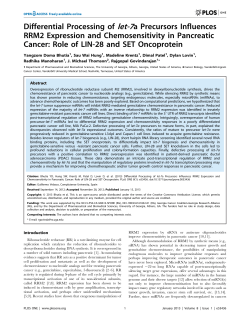 Differential Processing of let-7a Precursors Influences RRM2