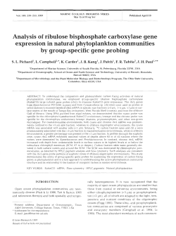 Analysis of ribulose bisphosphate carboxylase gene expression in
