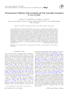 Microsporogenesis, Pollination, Pollen Germination and Male