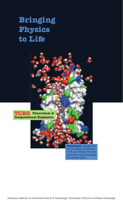 Bringing Physics to Life - Theoretical and Computational Biophysics
