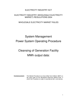 Cleansing of Generation Facility MWh Output Data