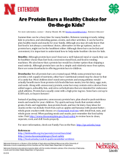 Are Protein Bars a Healthy Choice for On-the-go Kids?