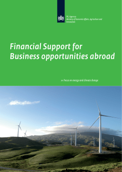 Financial Support for Business opportunities abroad