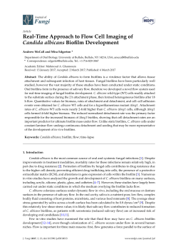 Real-Time Approach to Flow Cell Imaging of Candida albicans
