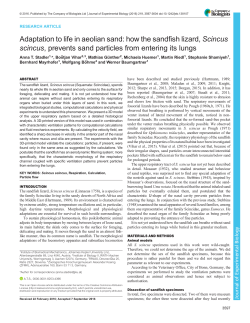 Fig. - Journal of Experimental Biology