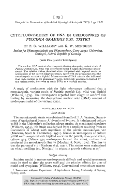 Cytofluorometry of DNA in uredospores of