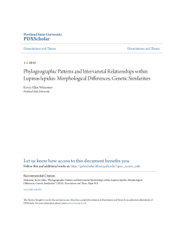 Phylogeographic Patterns and Intervarietal