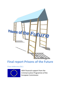 Final report Prisons of the Future
