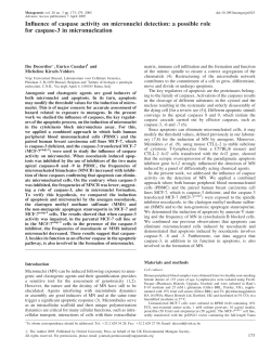 Influence of caspase activity on micronuclei