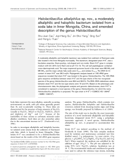 Halolactibacillus alkaliphilus sp. nov., a moderately alkaliphilic and