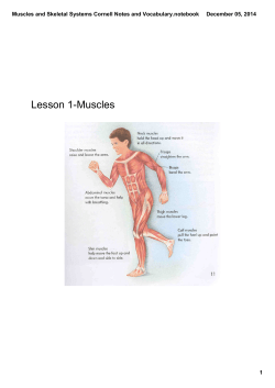 Muscles and Skeletal Systems Cornell Notes and Vocabulary