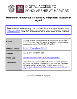 Melanism in Peromyscus Is Caused by Independent