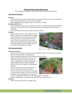 Rain Garden Maintenance for Homeowners