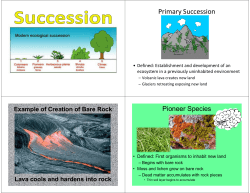 Primary Succession