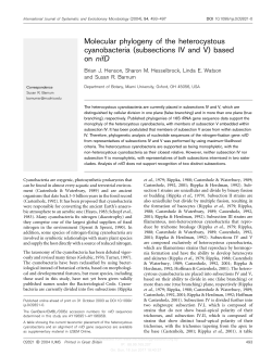 Molecular phylogeny of the heterocystous cyanobacteria