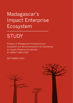 Madagascar`s Impact Enterprise Ecosystem STUDY