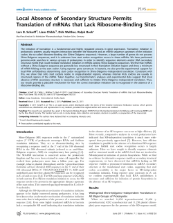 Local Absence of Secondary Structure Permits Translation of