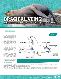 SOUNDINGS 2013 Volume 38, Number 3