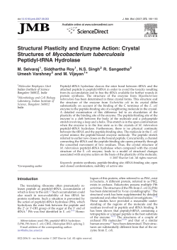 Structural Plasticity and Enzyme Action: Crystal - MCBL