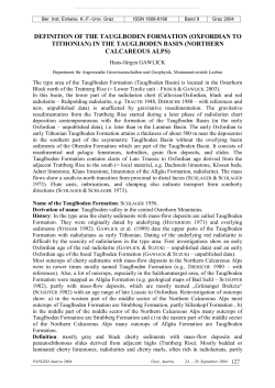 definition of the tauglboden formation