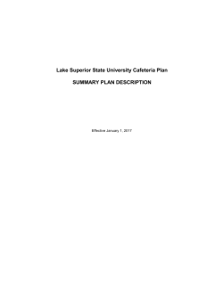 BASIC Flexible Spending Account (FSA) Summary Plan Description