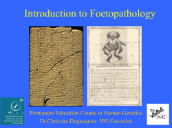 Foetopathology 2