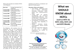 HCFC Flyer - Protect the Ozone Layer! It protects YOU!