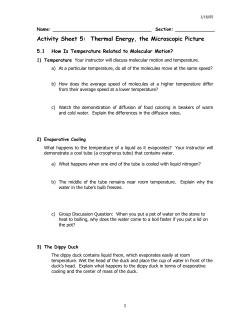 Activity Sheet 5: Thermal Energy, the Microscopic Picture