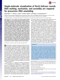 Single-molecule visualization of RecQ helicase reveals DNA melting