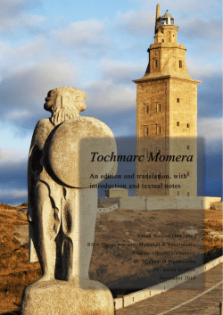 Tochmarc Momera - Utrecht University Repository