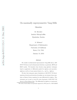 On maximally supersymmetric Yang