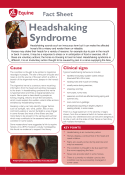 Headshaking Syndrome