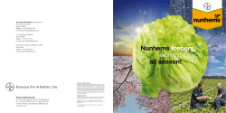 Nunhems Iceberg, working for you all season!