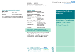 Malleable penile prosthesis