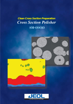 Cross Section Polisher