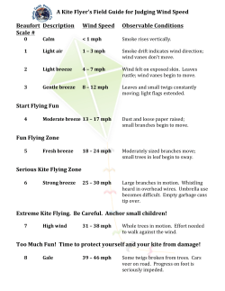 A Kite Flyer`s Field Guide for Judging Wind Speed