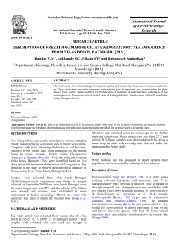 DESCRIPTION OF FREE LIVING MARINE CILIATE