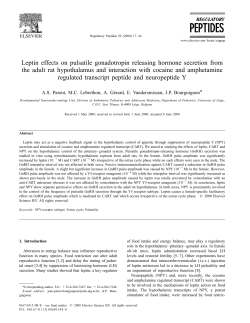 Leptin effects on pulsatile gonadotropin releasing hormone